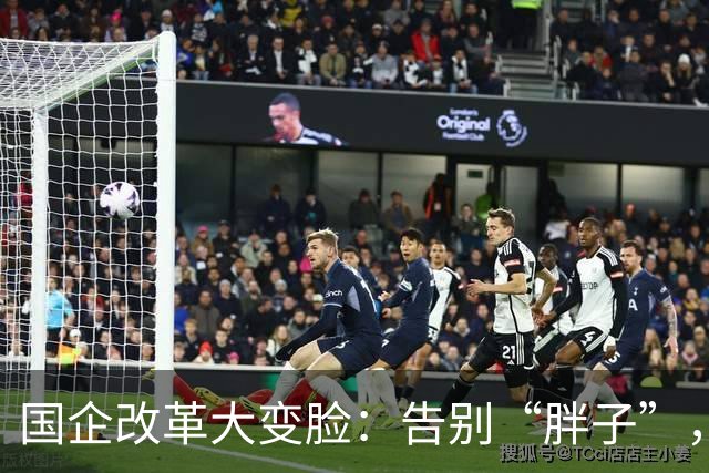 国企改革大变脸：告别“胖子”，迎接“精壮小鲜肉”！